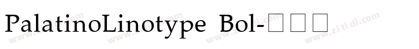 PalatinoLinotype Bol字体转换